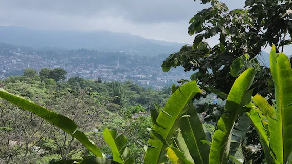 Jardín Botánico Xoxoctic