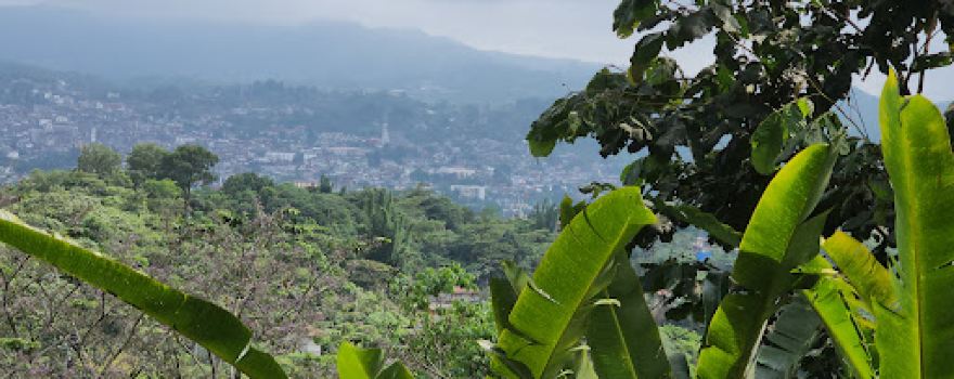 Jardín Botánico Xoxoctic