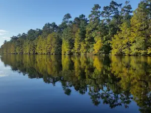 Bogue Chitto National Wildlife Refuge