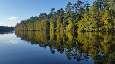 Bogue Chitto National Wildlife Refuge