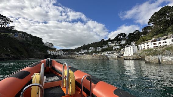 Looe Sea Safari