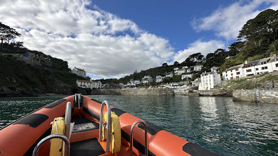 Looe Sea Safari