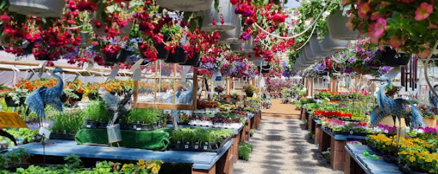 Black Forest Nursery