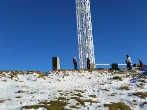 Hermitage Mount Mic
