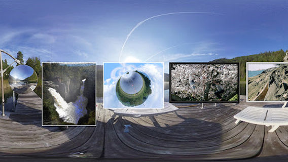 Bracebridge Dog Park