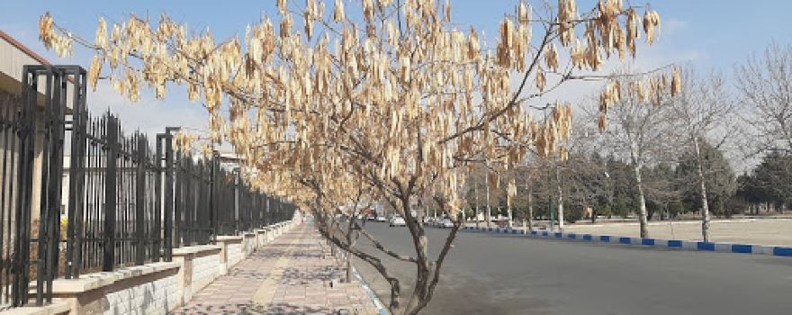 Mother Park
