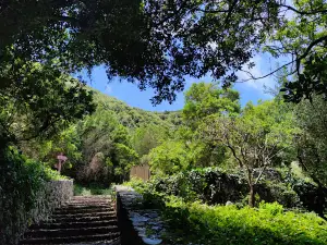 Chorros de Epina
