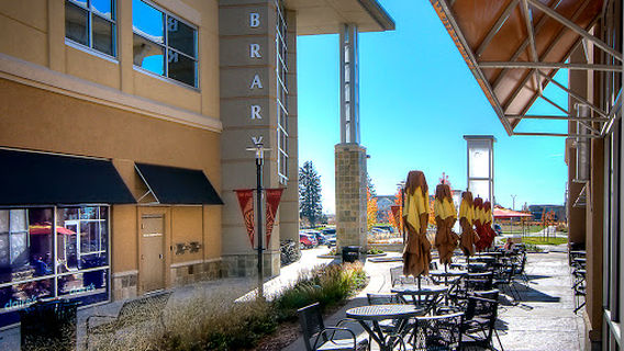 Council Tree Library