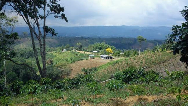 Yambitará Park