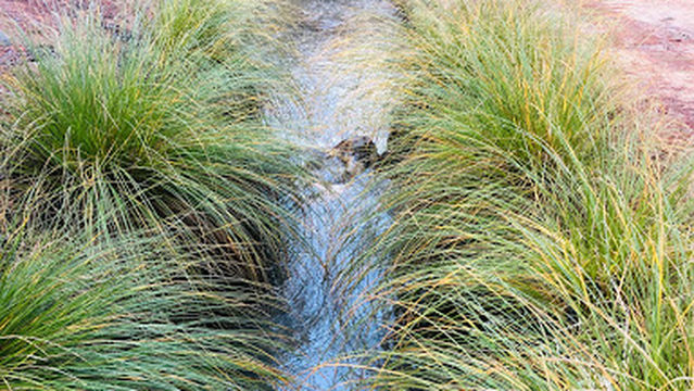 Naseby Holiday Park (Larchview)