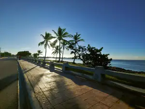 El bosquecito del malecon