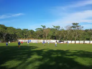 Estadio Carlos Moon