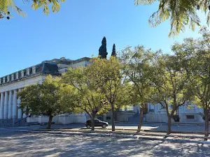 Club Universitario