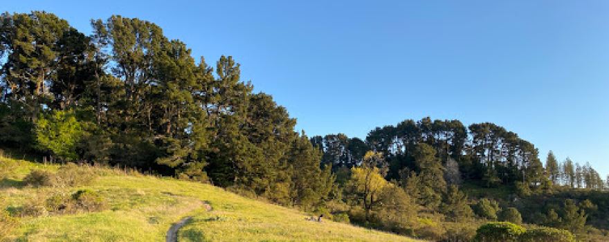 Seaview Trailhead