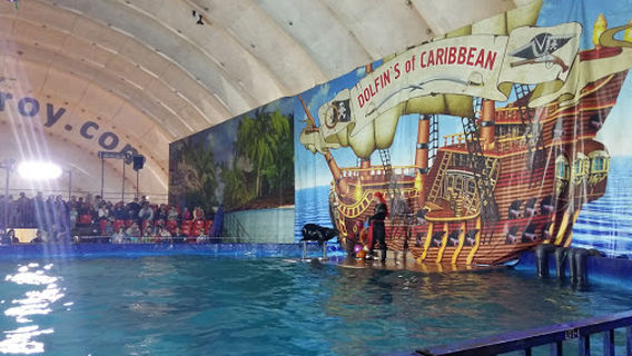 Мегаполис Спорт