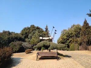 Anmyeondo Arboretum