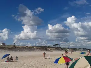 Playa De Parque Del Plata