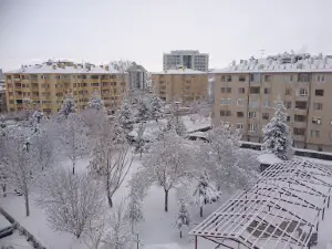 Ergenekon Park