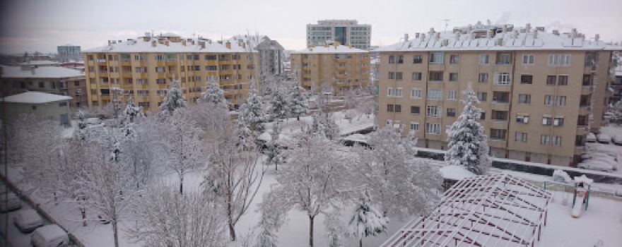 Ergenekon Park