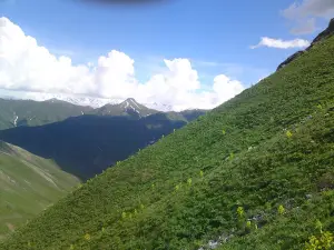 Chashmasor