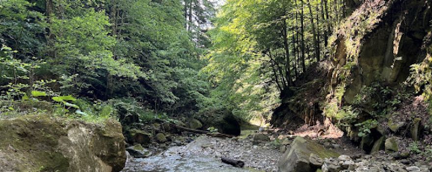 Cascada Bisoca