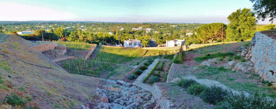 Orti Urbani
