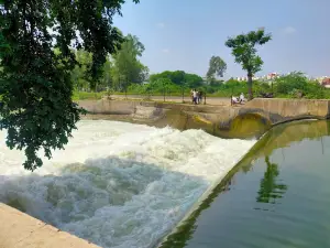 Mahi Canal