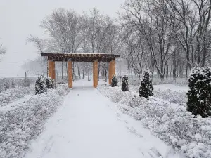 Park Solnechnyy