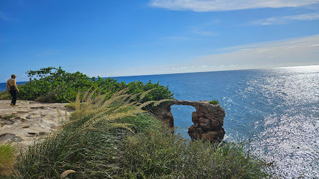 Salinas de Cabo Rojo
