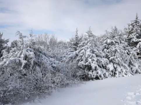 サウス・パーク, ジャンクション・シティ