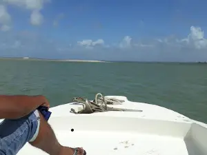 Ilha da Sogro