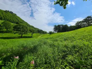 Takashimizu Nature Park