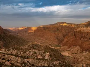 Dana Biosphere Reserve