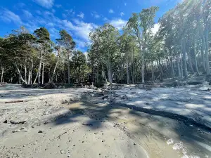 Plaża Orzechowo