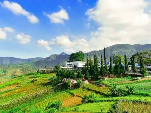 Dermaga Telaga Sarangan