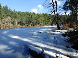 South Lake Dispersed Area