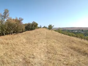 Gora Bosova