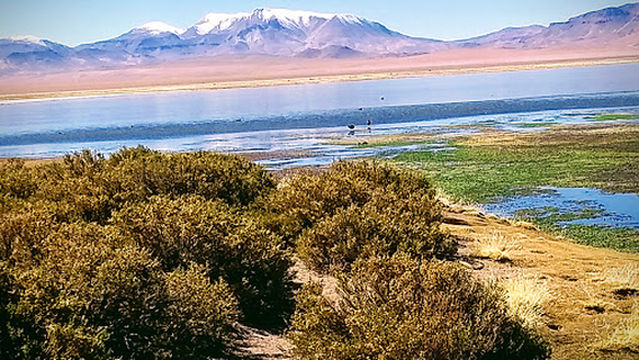 Los Flamencos National Reserve