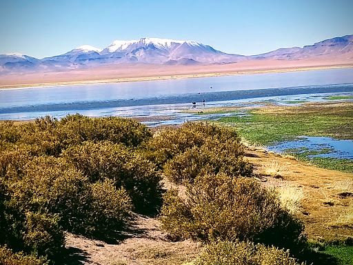 Los Flamencos National Reserve