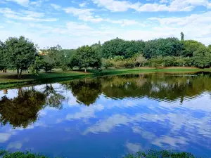 Alambari Park 1