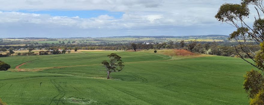 Brookton Lookout