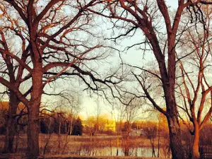 Rice Creek Off-Leash Dog Area