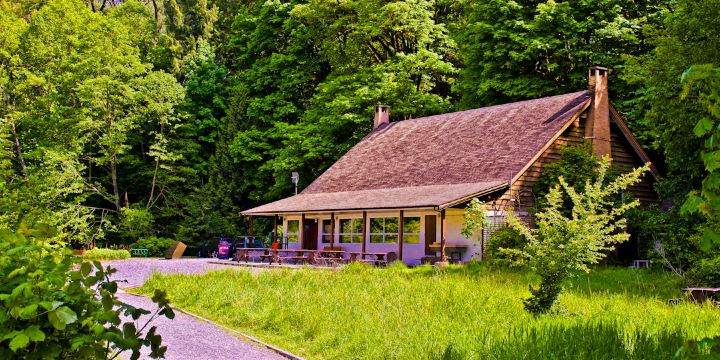 Goldstream Provincial Park