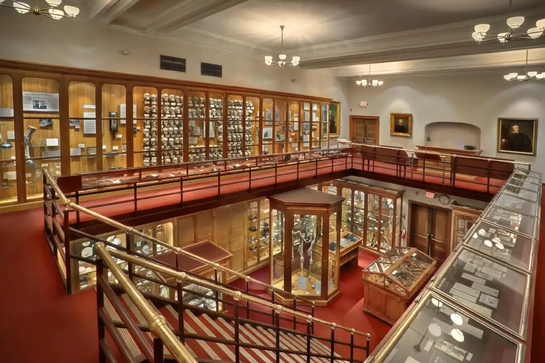 Hôtels à proximité de : Mütter Museum
