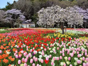 Hamamatsu Flower Park