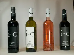 De Cote Casa Vitivinicola