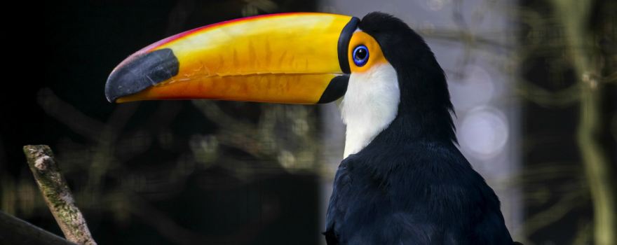 Zoo Wuppertal