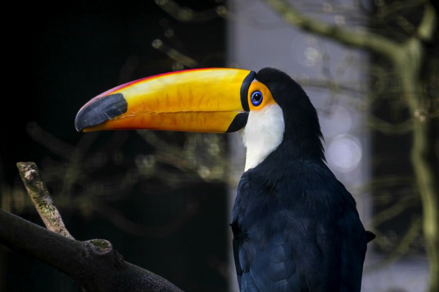 Zoo Wuppertal