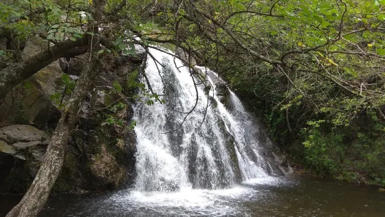 La Cascada Nature Reserve