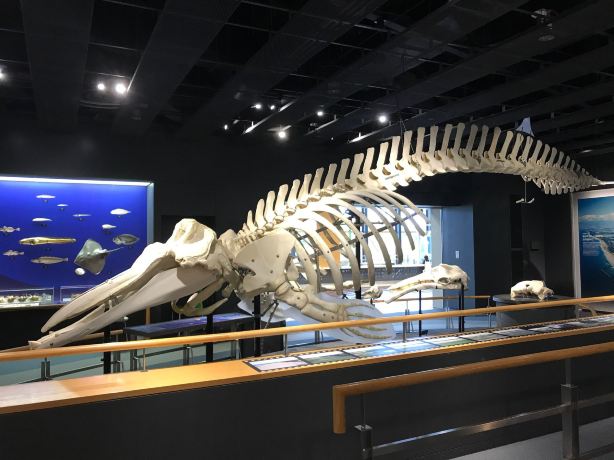 Toyama Science Museum